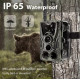 Фотопастка Suntek HC 801M з GSM модулем G2, огляд 120°, нічна зйомка, датчик руху, захист IP65, дальність 25 м.