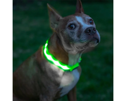 Светодиодный LED ошейник USB светящийся для собак и котов Green XS