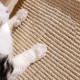 Шезлонг Taotaopets Y0037 лежак когтеточка для котов