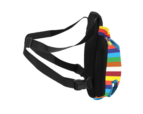 Рюкзак- кенгуру для животных DT834 Rainbow S