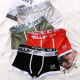 Набор мужских трусов боксеров PB-3199 Light gray/Green/Coral/Black из 4 шт  2XL