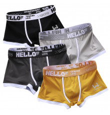 Набор мужских трусов боксеров PB-3199 Black/Turmeric/Gray/Light gray из 4 шт  3XL