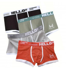Набор мужских трусов боксеров PB-3199 Light gray/Green/Coral/Black из 4 шт  XL