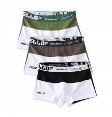 Набор мужских трусов боксеров PB3259 Green/Gray/Black из 3 шт  XL