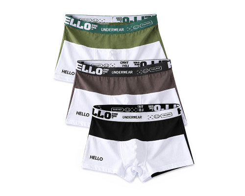 Набор мужских трусов боксеров PB3259 Green/Gray/Black из 3 шт  XL