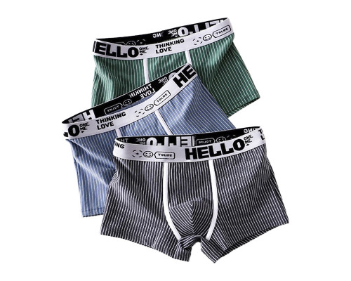 Набор мужских трусов боксеров PC3221 Gray/Green/Blue из 3 шт  3XL