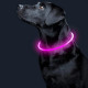 Светодиодный LED ошейник L-18 USB светящийся водоотталкивающий для собак и котов  Pink M