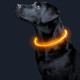 Светодиодный LED ошейник L-18 USB светящийся водоотталкивающий для собак и котов  Yellow M