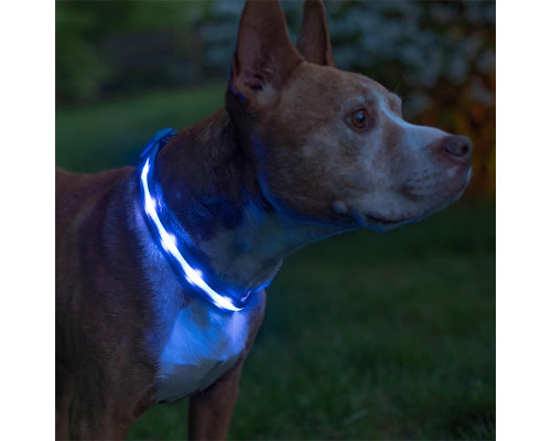 Светодиодный LED ошейник USB светящийся для собак и котов Blue XL