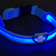 Светодиодный LED ошейник USB светящийся для собак и котов Blue XL