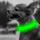 Светодиодный LED ошейник USB светящийся для собак и котов Green XL