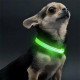 Светодиодный LED ошейник USB светящийся для собак и котов Green M