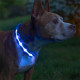 Светодиодный LED ошейник USB светящийся для собак и котов Blue M