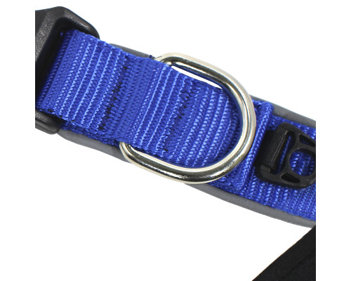 Ошейник двухслойный для собак Taotaopets 181-2019 S Blue