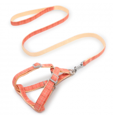 Шлея для собак с поводком Pipitao 165510 Cage Peach 1.5*120 cm