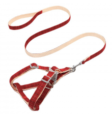 Шлея для собак с поводком Pipitao 165510 Cage Red 1.5*120 cm