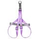 Шлея для собак или кошек с поводком Taotaopets 171120 Purple M (1.5 cm)