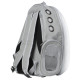 Рюкзак-переноска для кошек Taotaopets 252203 Panoramic 35*25*42cm Gray